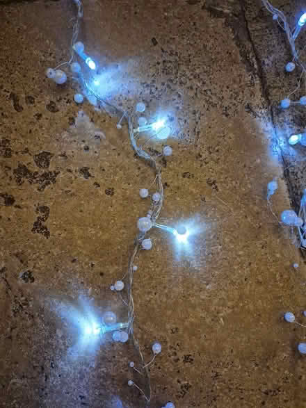 Photo of free Christmas indoor lights (Burwell OX28) #2