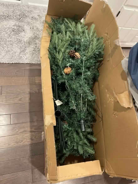 Photo of free Christmas tree (Holland Landing) #1