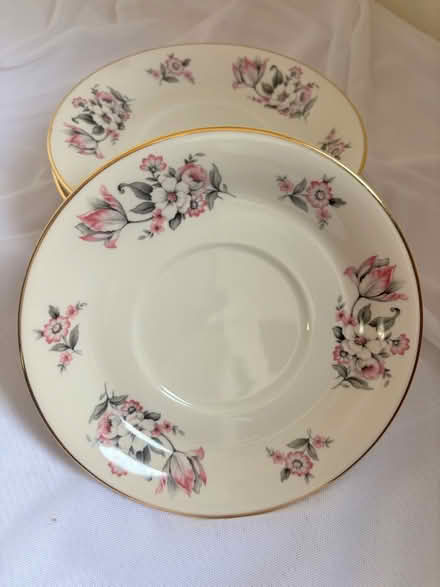 Photo of free Aberdeen china moss rose saucers (Broadway Terrace Rockridge) #3