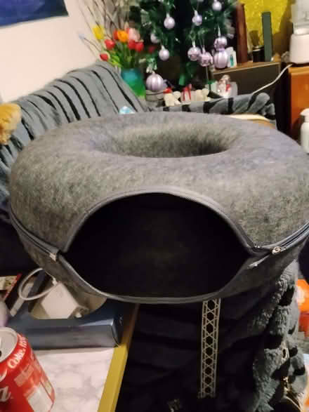 Photo of free Cat donut bed and 44 packets of cat lollies (Glenrothes KY7) #2