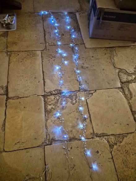 Photo of free Christmas indoor lights (Burwell OX28) #1
