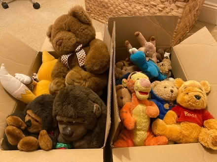 Photo of free Assorted soft toys (Widcombe, Bath) #1