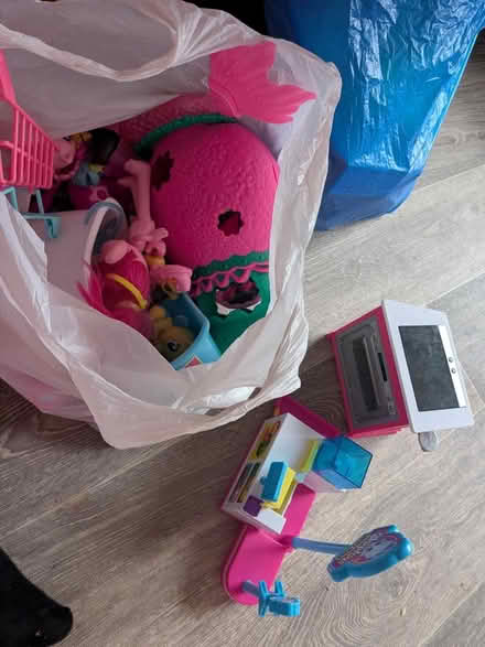 Photo of free Trolls and other small dolls (Wollaton NG8) #1