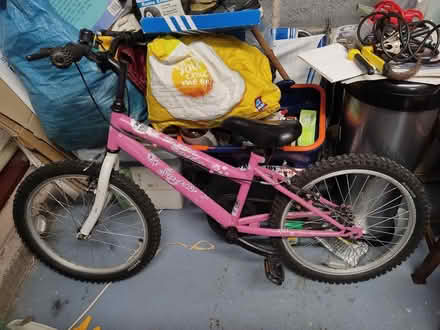 Photo of free Pink Bicycle (Pedmore DY9) #1