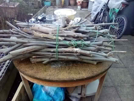 Photo of free FIREWOOD From an ASH TREE (Gledhow LS8) #2