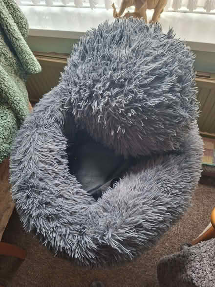 Photo of free Cat bed. (Gillingham ME7) #1