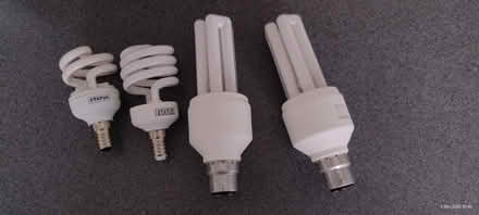 Photo of free Low energy light bulbs (Ingol PR2) #2