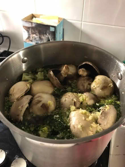 Photo of free home made soup (Deal) #3