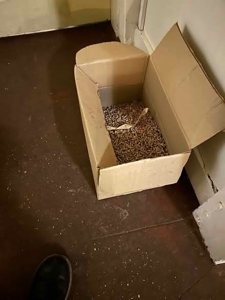 Photo of free Wood cat litter (Golders Green) #2