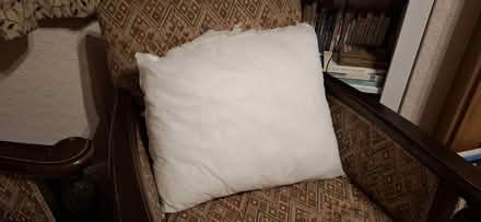 Photo of free Cushion, no cover (Harrogate HG1) #3