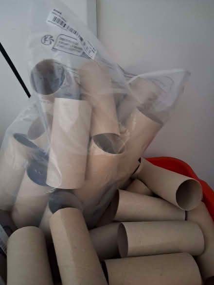 Photo of free Toilet roll tubes (Lostock Hall PR5) #1