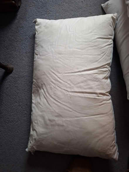 Photo of free 4 feather pillows (South Green CM11) #4