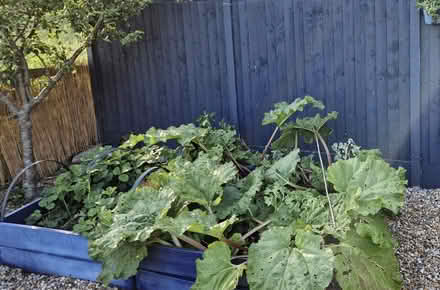 Photo of free raised bed kit (Kemsing TN15) #1