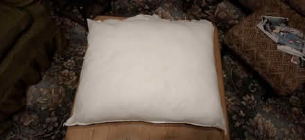 Photo of free Cushion, no cover (Harrogate HG1) #1