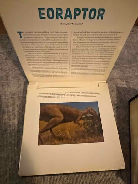 Photo of free Moving Photicular Dinosaur boom (Chelmsford CM1) #2