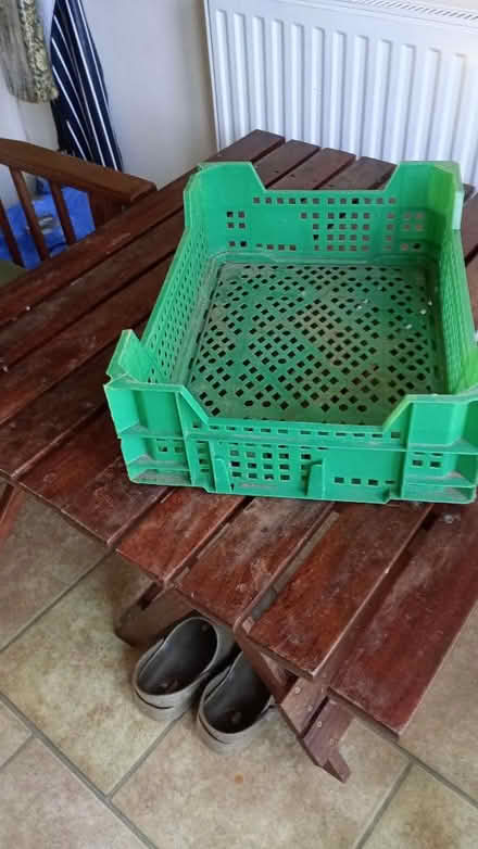 Photo of free Plastic tràys (Cleehill SY8) #1