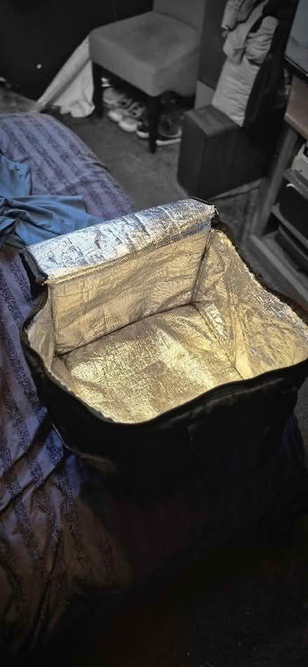 Photo of free Large coolbag (Twerton) #2