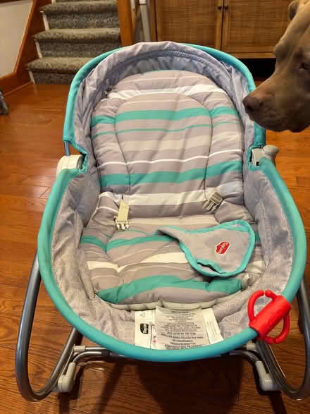 Photo of free Tiny Love 3-in-1 Rocker-Napper (Westwood) #1