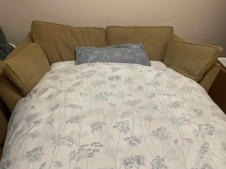 Photo of free Sofa bed ochre very comfy (Bowers Gifford SS17) #1