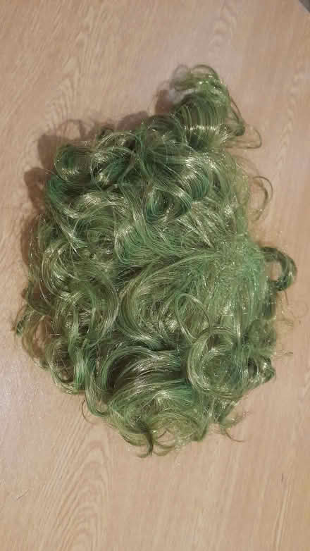 Photo of free Joker green wig (Barnsley S75) #2