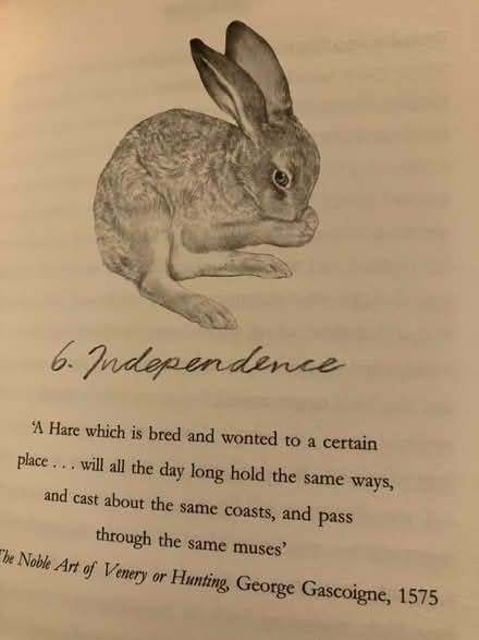 Photo of free Raising Hare - hardback book (Waddon) #4