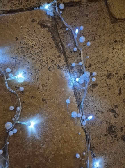 Photo of free Christmas indoor lights (Burwell OX28) #3