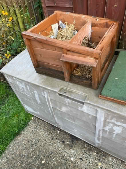 Photo of free Hedgehog house (Waltham Abbey EN9) #3