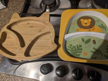 Photo of free Toddler plates (Normanton, Derby) #1