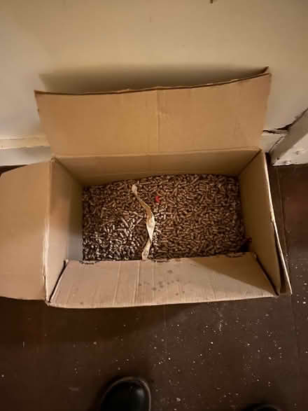 Photo of free Wood cat litter (Golders Green) #1