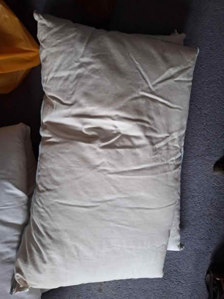 Photo of free 4 feather pillows (South Green CM11) #1