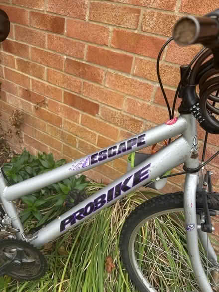 Photo of free Ladies / unisex bike Probike (Trumpington Ward CB2) #2