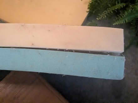 Photo of free Foam Rubber (Cleethorpes DN35) #2