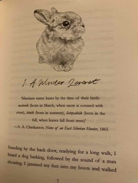 Photo of free Raising Hare - hardback book (Waddon) #2