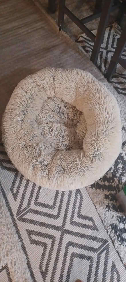 Photo of free Fluffy pet bed (Northern va) #1