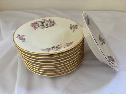 Photo of free Aberdeen china moss rose saucers (Broadway Terrace Rockridge) #1