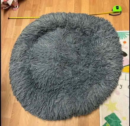 Photo of free Dog Bed - Washed & Clean (Chippenham SN15) #1