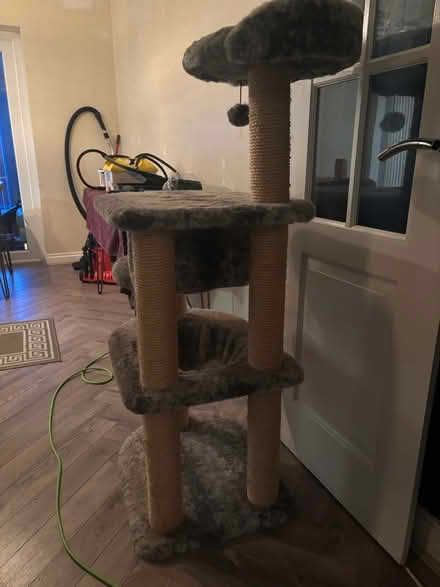 Photo of free Cat tree (Wantage OX12) #3