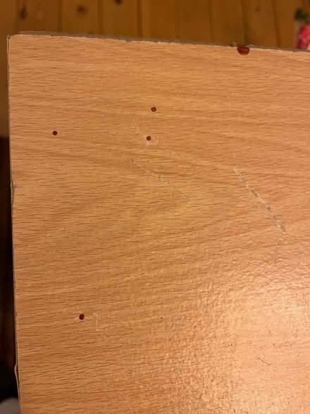 Photo of free IKEA shoe cupboard (Kenilworth CV8) #3