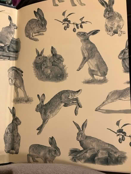 Photo of free Raising Hare - hardback book (Waddon) #3