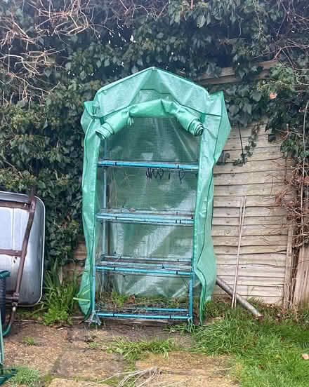 Photo of free Mini poly greenhouse (East Grinstead RH19) #1