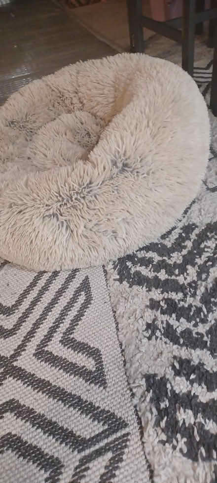 Photo of free Fluffy pet bed (Northern va) #2