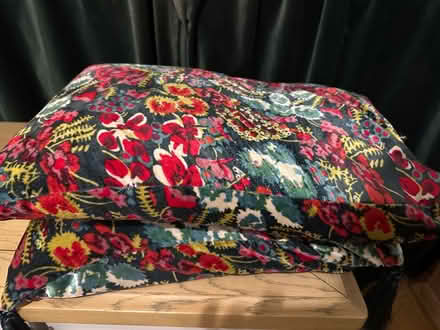 Photo of free 2 x feather cushions (Southsea PO5) #1