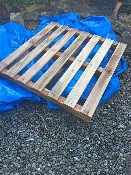 Photo of free Pallets (Papcastle CA13) #1
