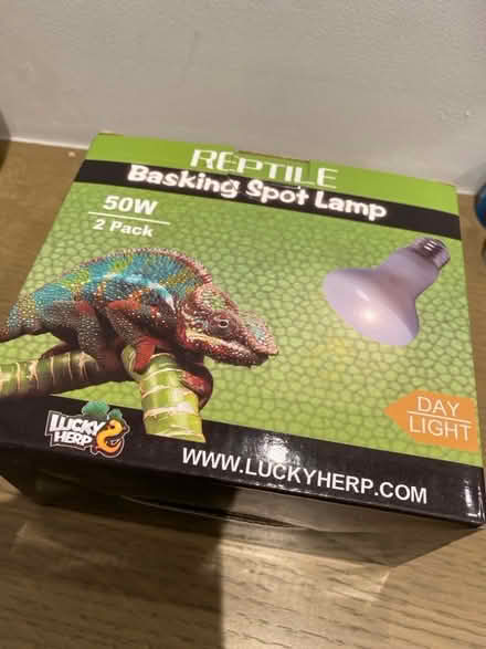 Photo of free Two NEW reptile basking lamps (St Albans AL3) #1