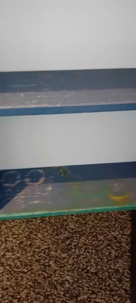 Photo of free Bathroom cabinet blue (Benhall GL51) #4