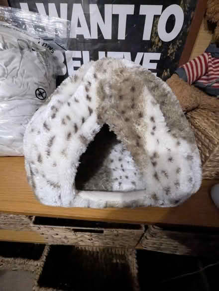 Photo of free Trio of Cat Igloo Beds (Heath & Reach LU7) #3