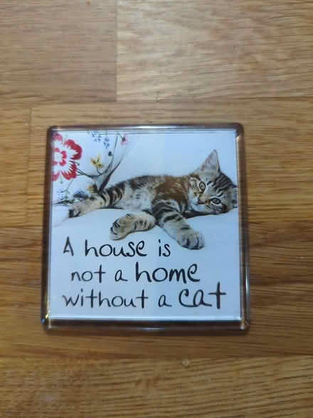Photo of free 2 cat themed fridge magnets (Prenton CH43) #1