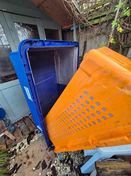 Photo of free Extra large live stock crate (Rm3 0gd) #3