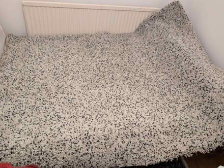 Photo of free Large Rug for give away (Finchley Central N3) #2