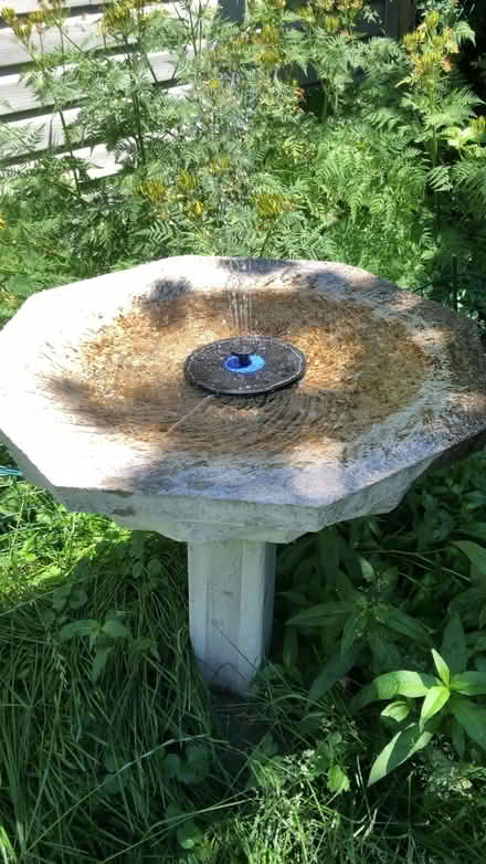 Photo of free little solar-powered fountain (West End Halifax) #1